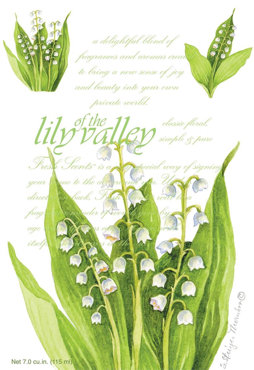 Fresh Scents-  Lily of the Valley