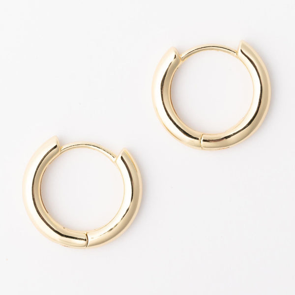 Michelle Gold Hoop Earrings