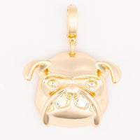 Michelle McDowell Collegiate Charms