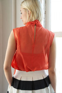Sylvia Organza Top