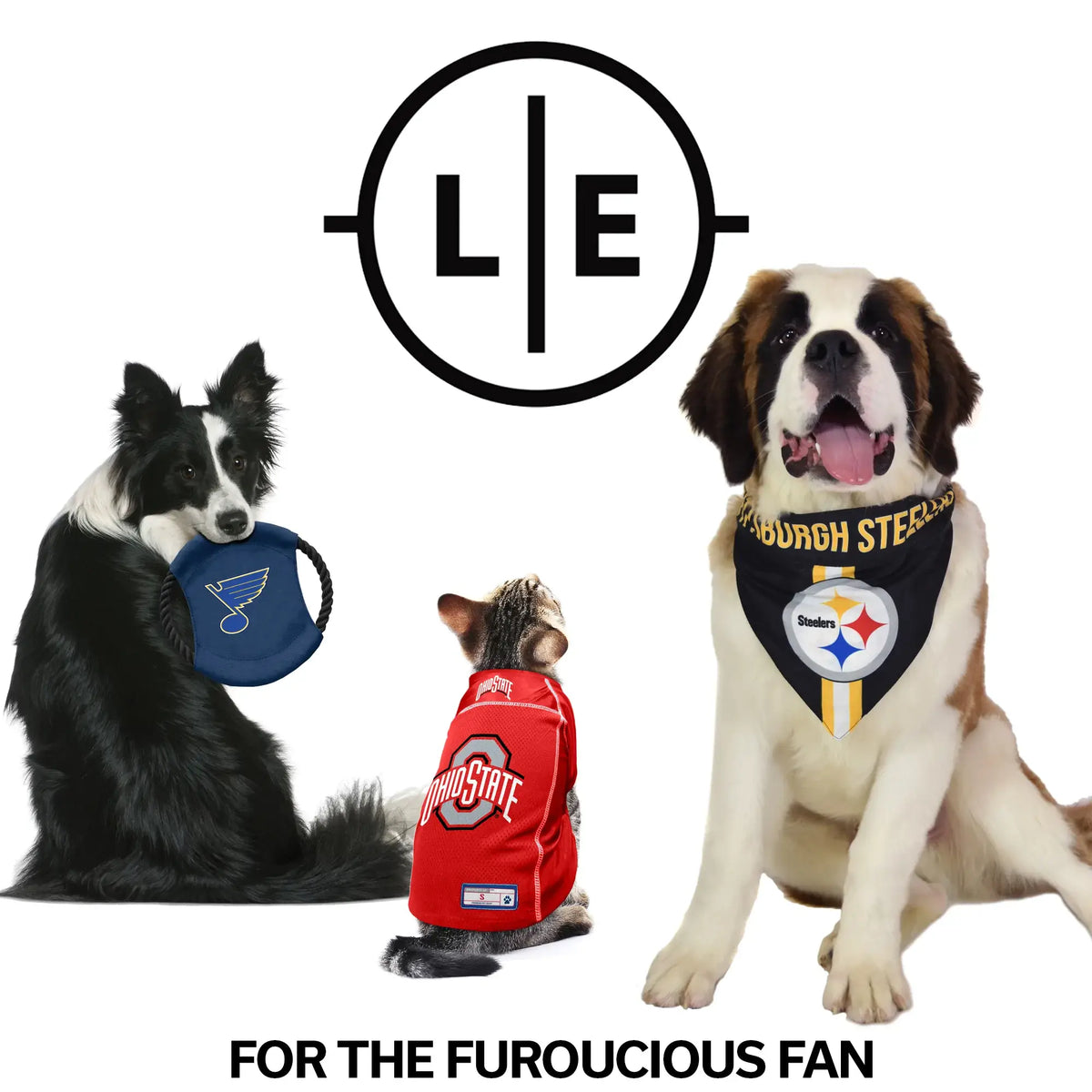 NFL Atlanta Falcons Team Flying Disc Pet Toy