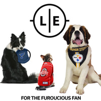 NFL Atlanta Falcons Team Flying Disc Pet Toy