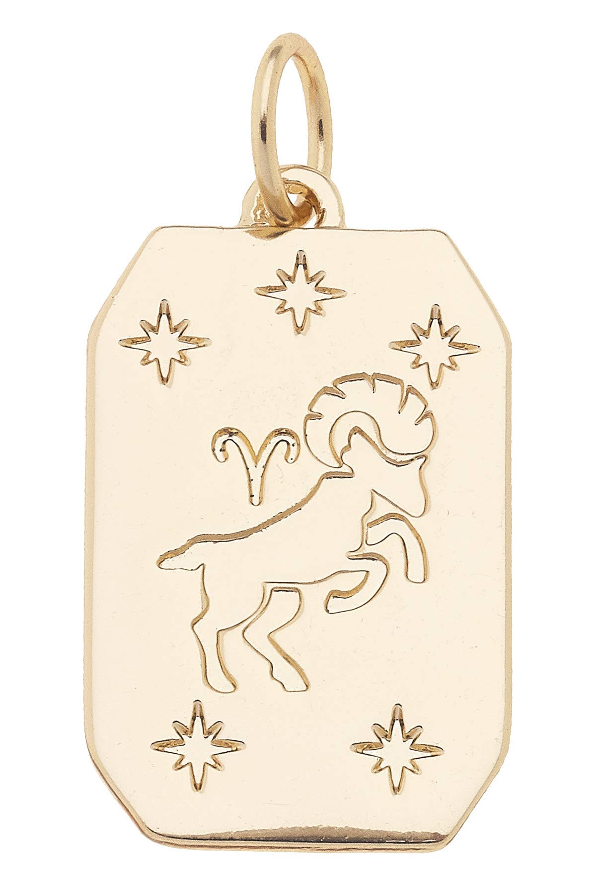 CANVAS STYLE CHARM BAR-Zodiac Charms Assortment