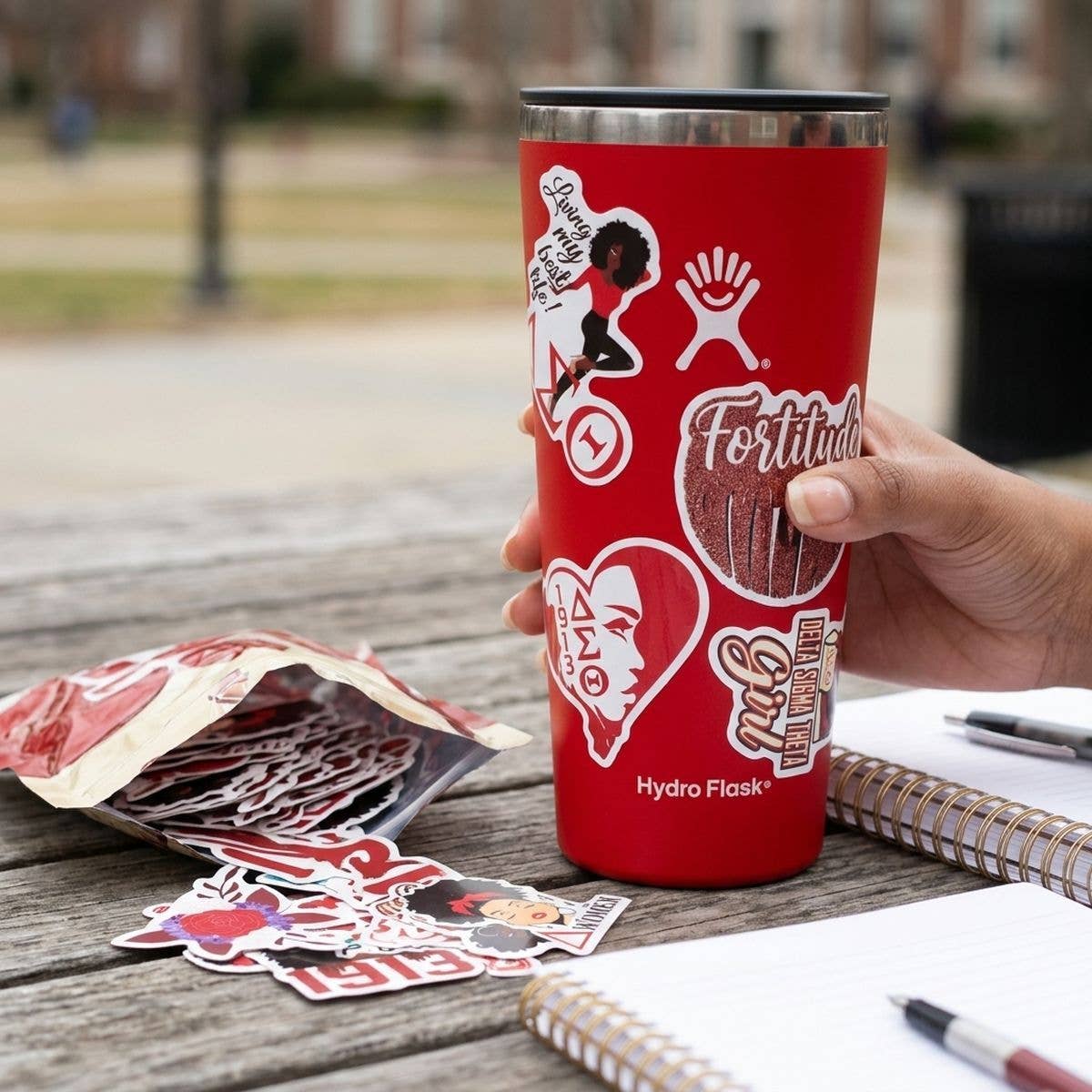 Delta Sigma Theta 60 Piece Sticker Set: Animal Print / Multi Tone / Assorted 2 x 2 inches