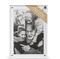 Frame and Magnetic Adornments