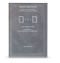 Frame and Magnetic Adornments