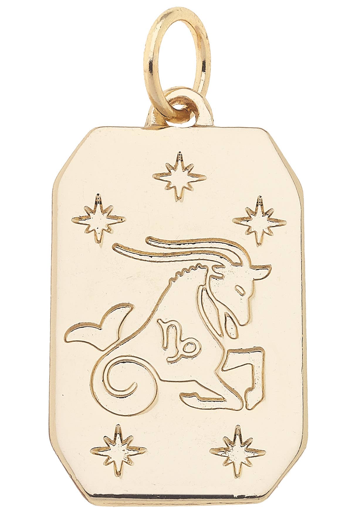 CANVAS STYLE CHARM BAR-Zodiac Charms Assortment