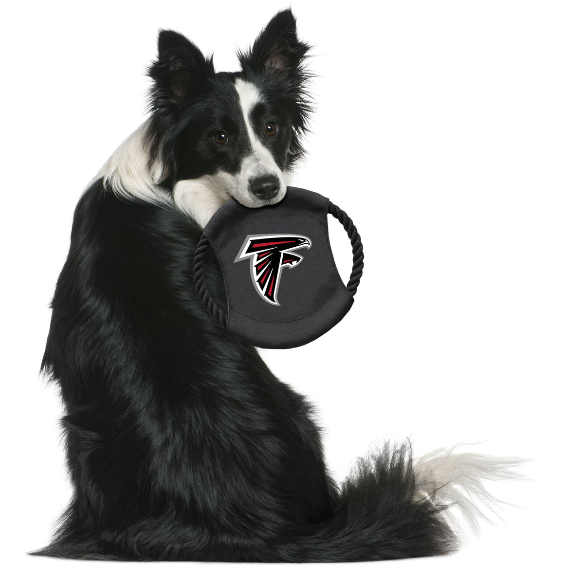 NFL Atlanta Falcons Team Flying Disc Pet Toy