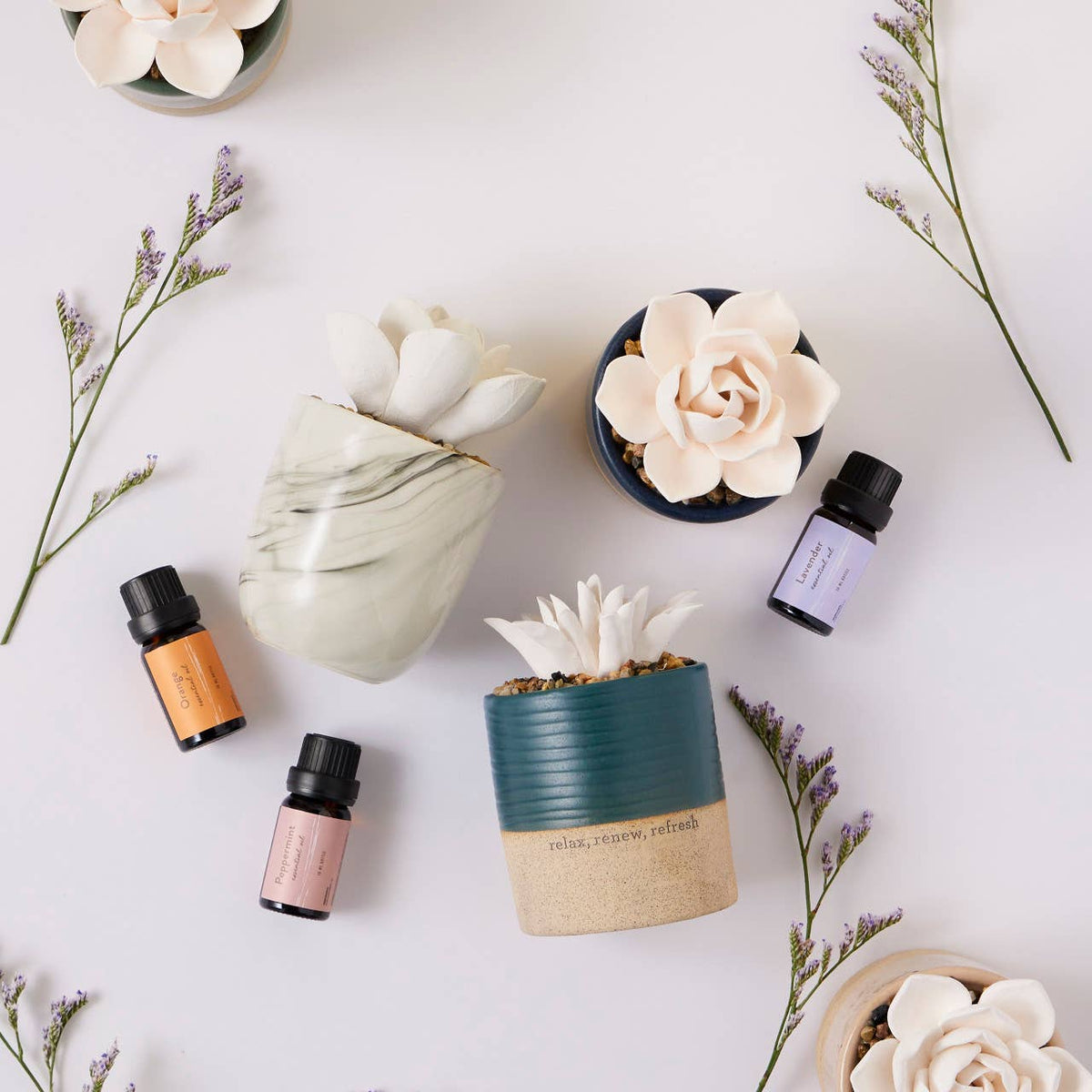 Succulent Oil Diffuser - Relax