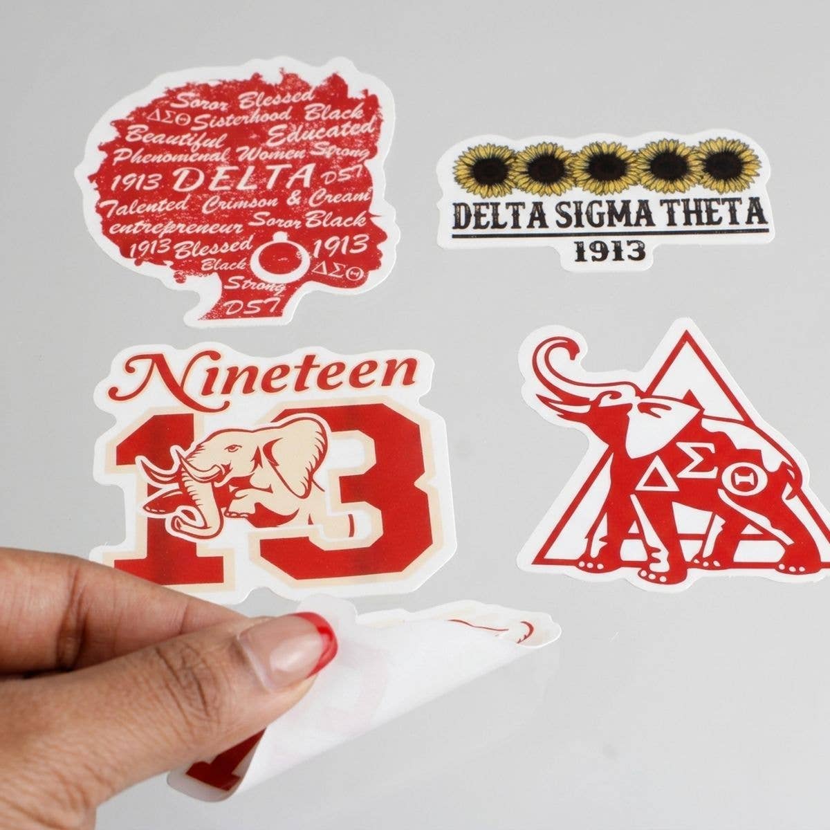 Delta Sigma Theta 60 Piece Sticker Set: Animal Print / Multi Tone / Assorted 2 x 2 inches