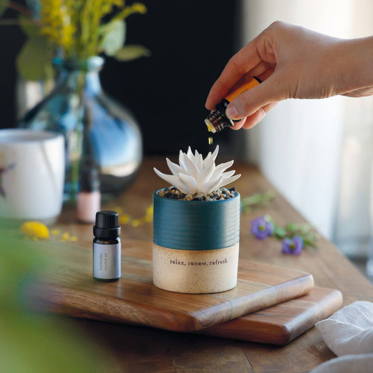ceramic succulent diffuser Succulent Oil Diffuser