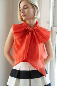 Sylvia Organza Top