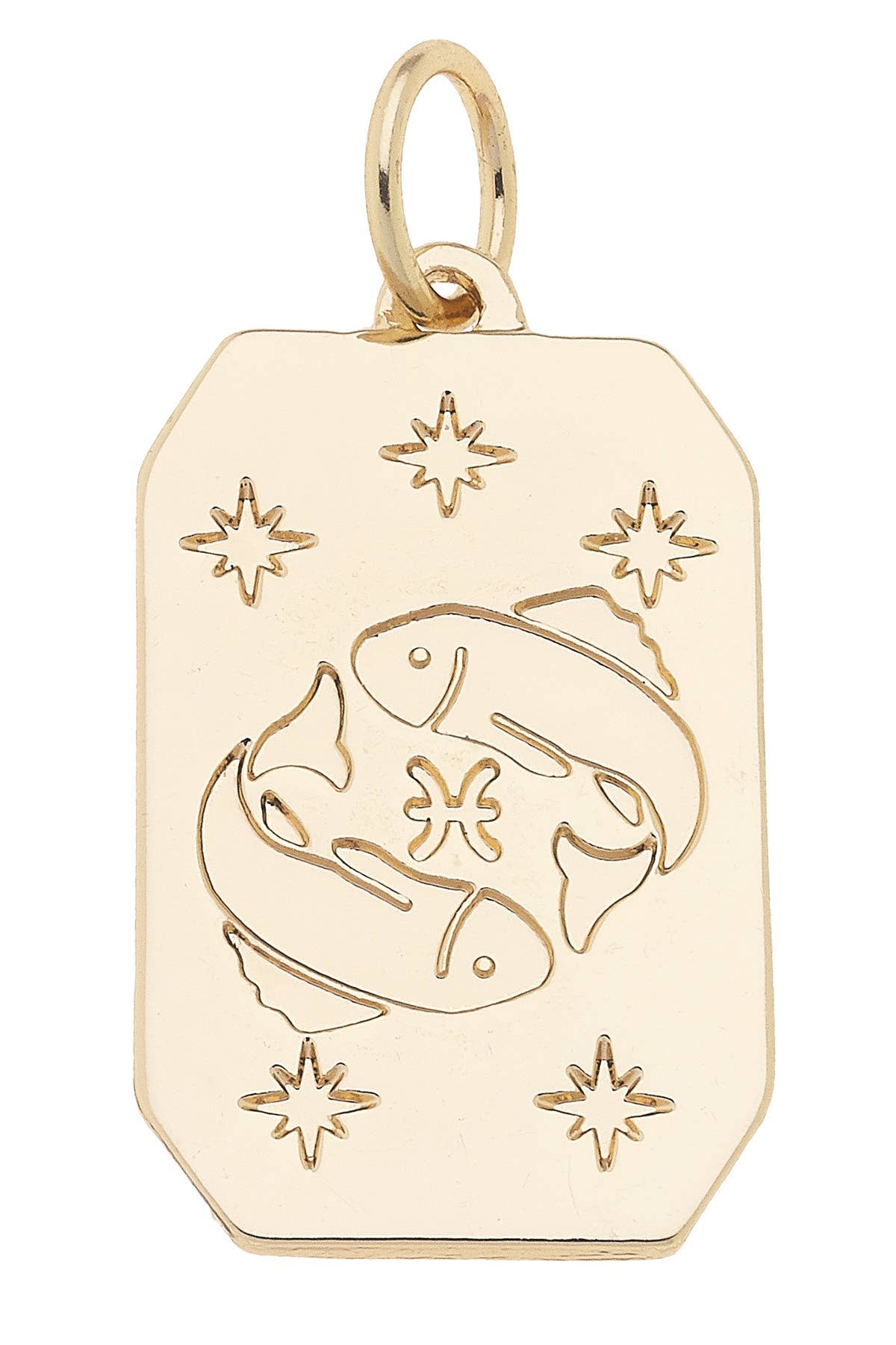 CANVAS STYLE CHARM BAR-Zodiac Charms Assortment