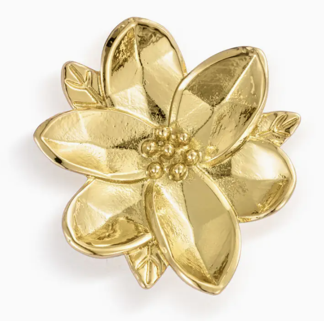 Frame and Magnetic Adornments