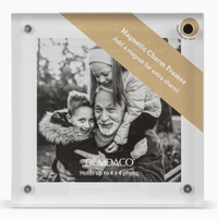 Frame and Magnetic Adornments