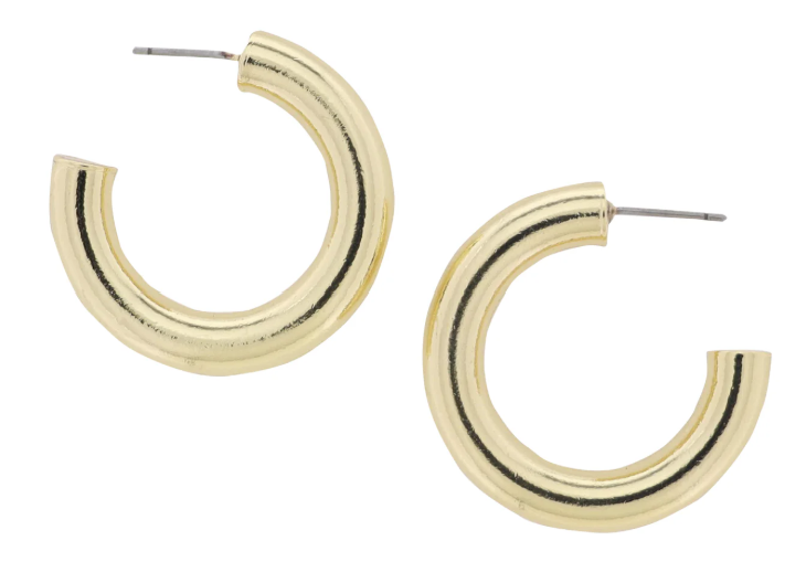 Golden Trust 18 K Gold Plated Earrings
