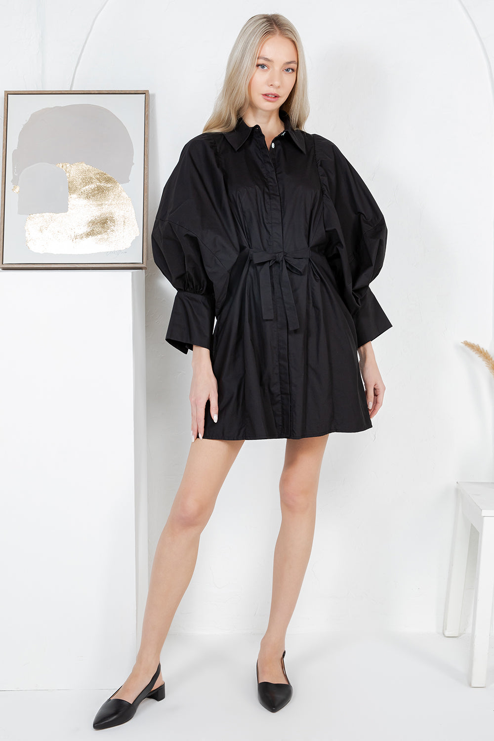Gwenyth Big Long Sleeve Mini Shirt Dress