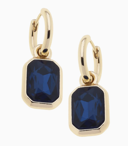 Reagyn Rhinestone Drop Hoop Earrings