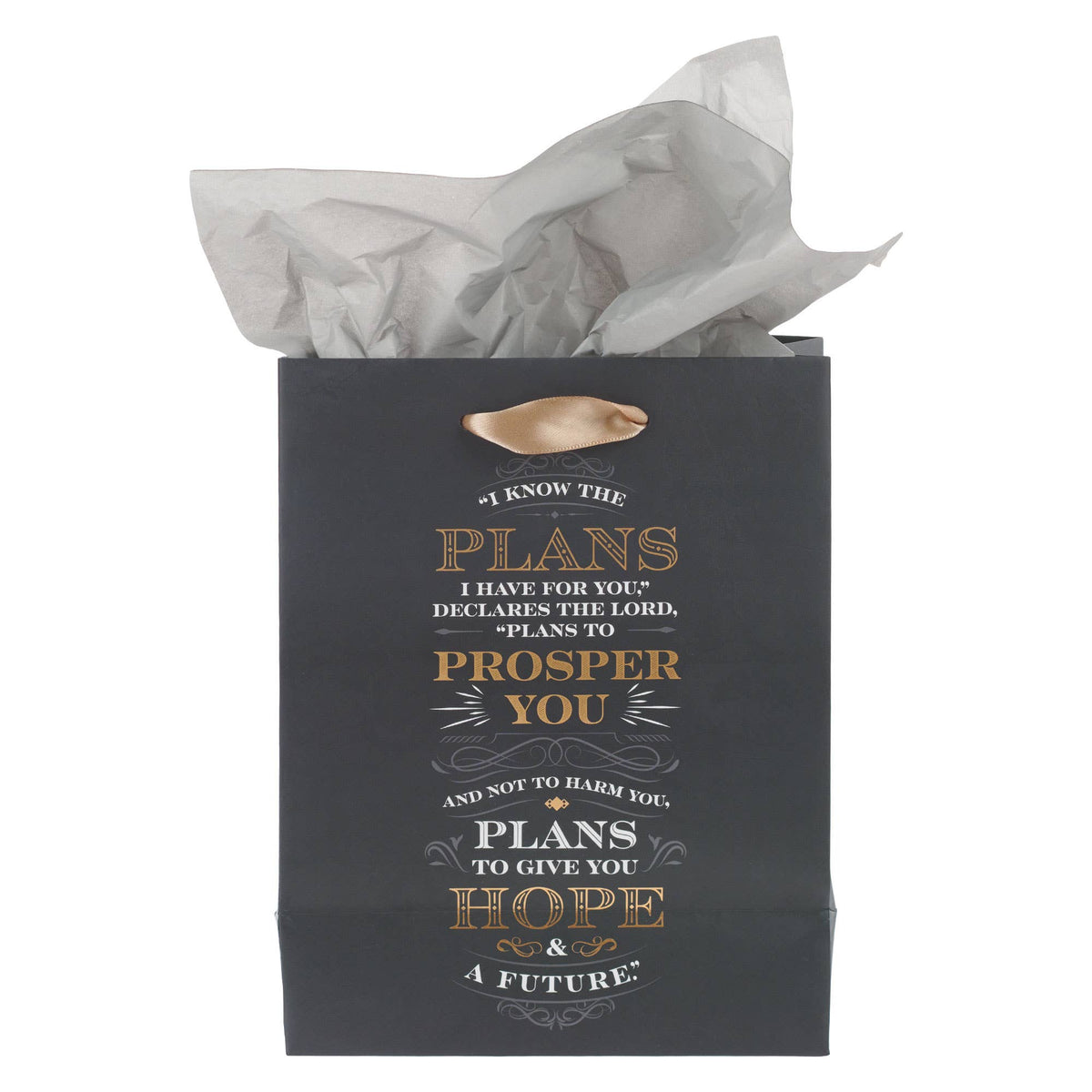 I Know the Plans Gray Medium Gift Bag - Jeremiah 29:11