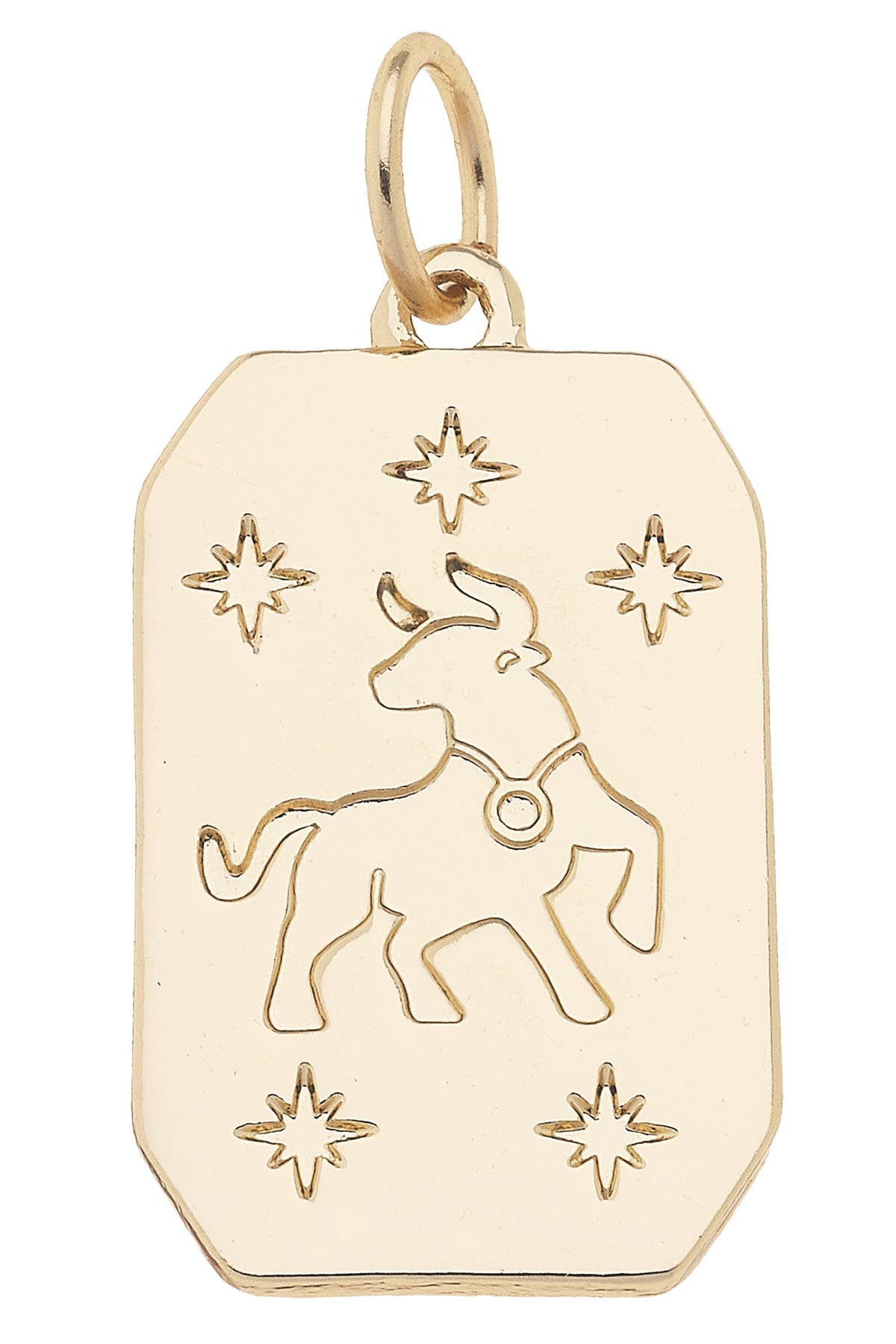 CANVAS STYLE CHARM BAR-Zodiac Charms Assortment