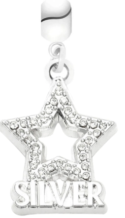 CANVAS STYLE CHARM BAR-  HBCU CHARMS
