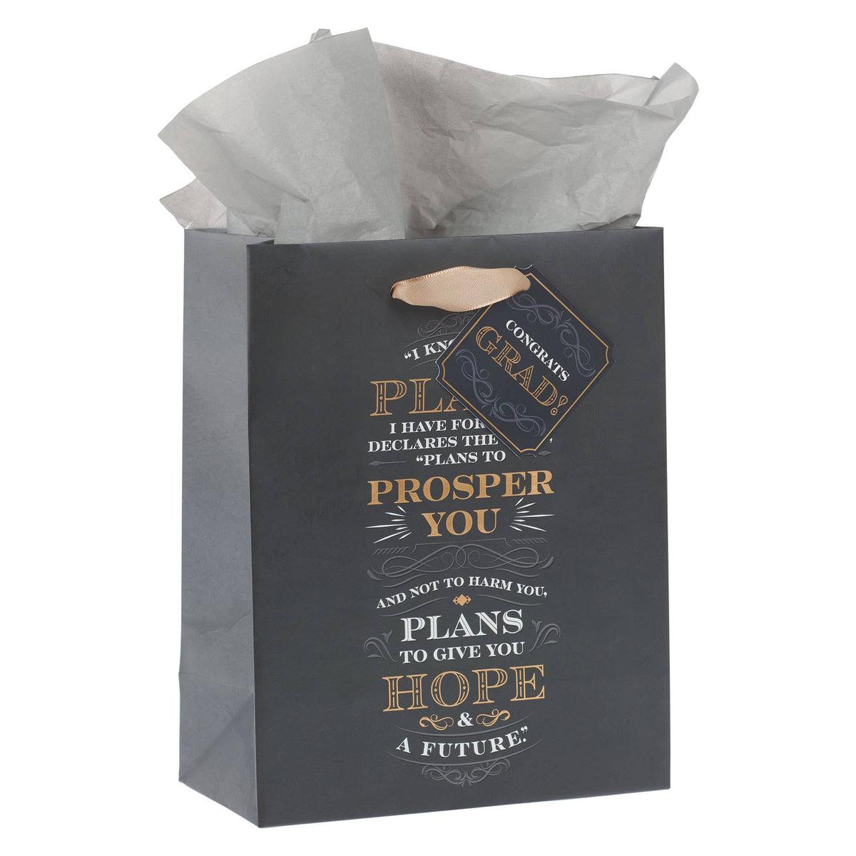 I Know the Plans Gray Medium Gift Bag - Jeremiah 29:11