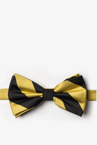 Black and Gold - College Collegiate Stripe - School Colors: Self-Tie Bowtie