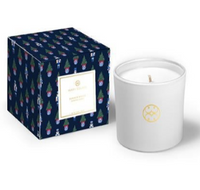 Mary Square Holiday Candles and Diffusers