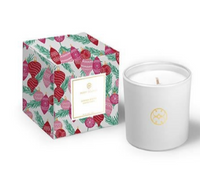 Mary Square Holiday Candles and Diffusers