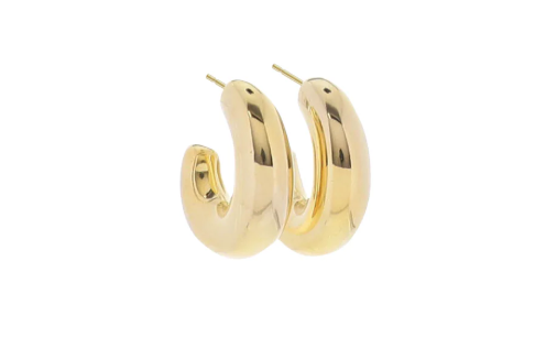 Golden Trust 18 K Gold Plated Earrings