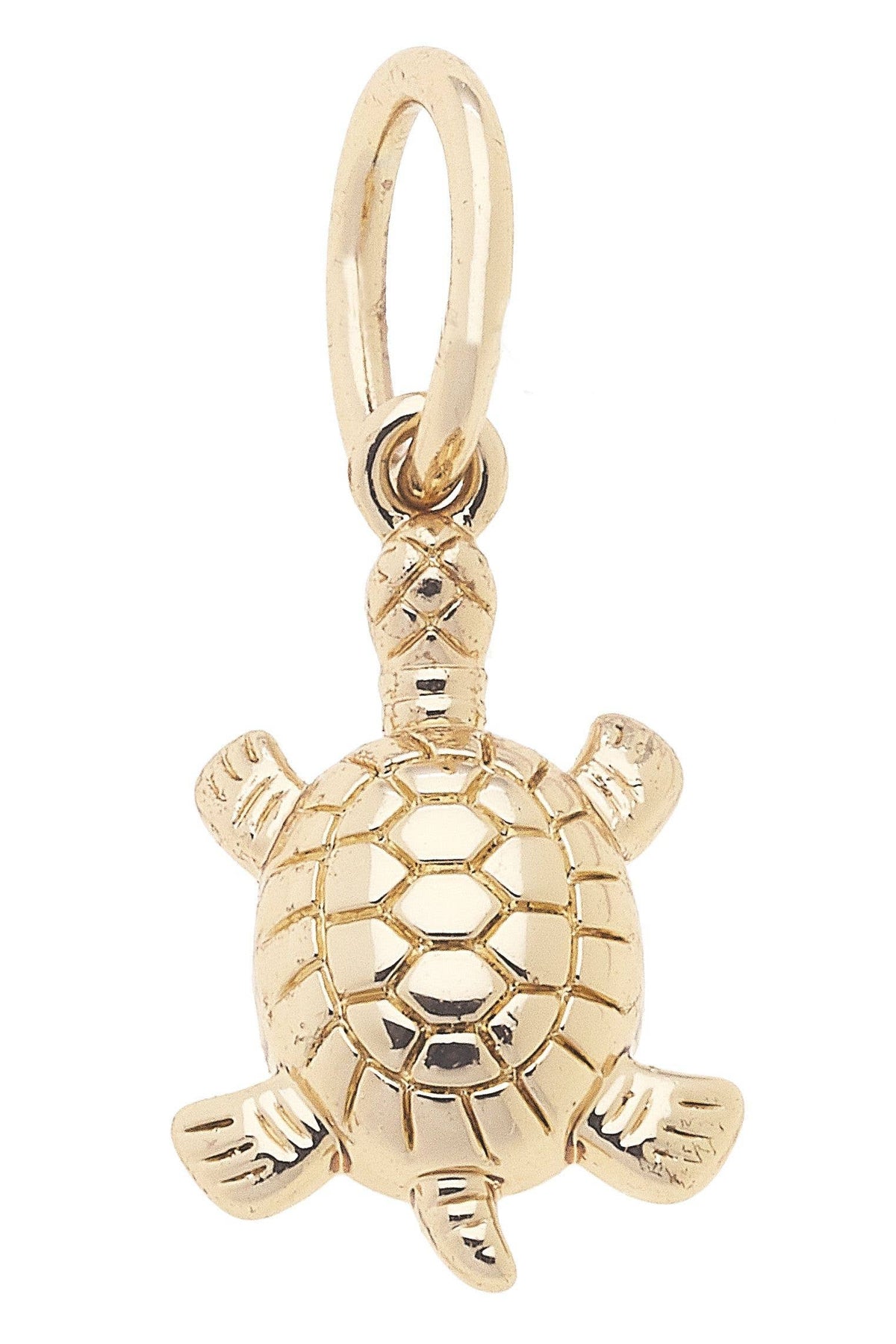 CANVAS STYLE CHARM BAR-Sea Turtle Charm in Shiny Gold