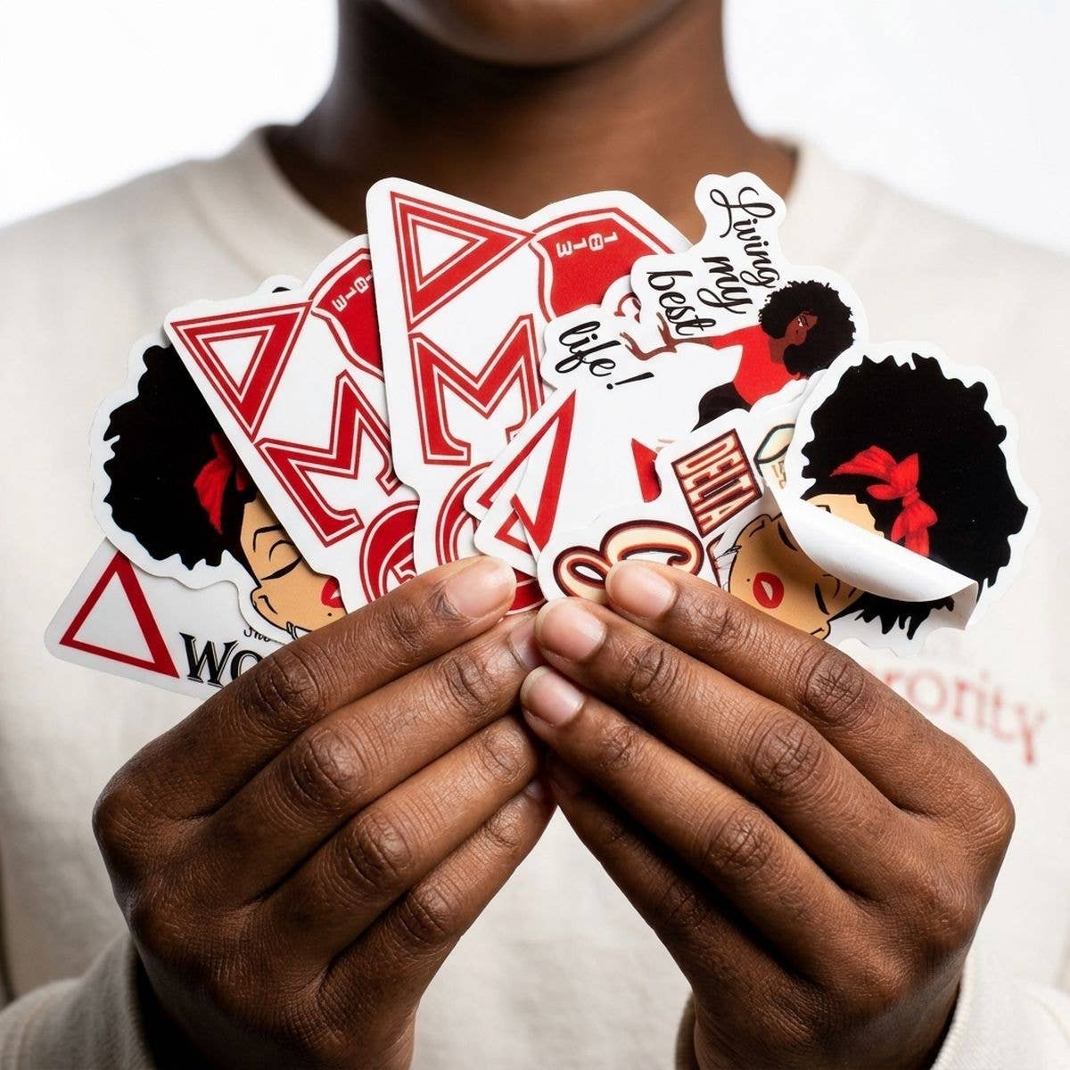 Delta Sigma Theta 60 Piece Sticker Set: Animal Print / Multi Tone / Assorted 2 x 2 inches