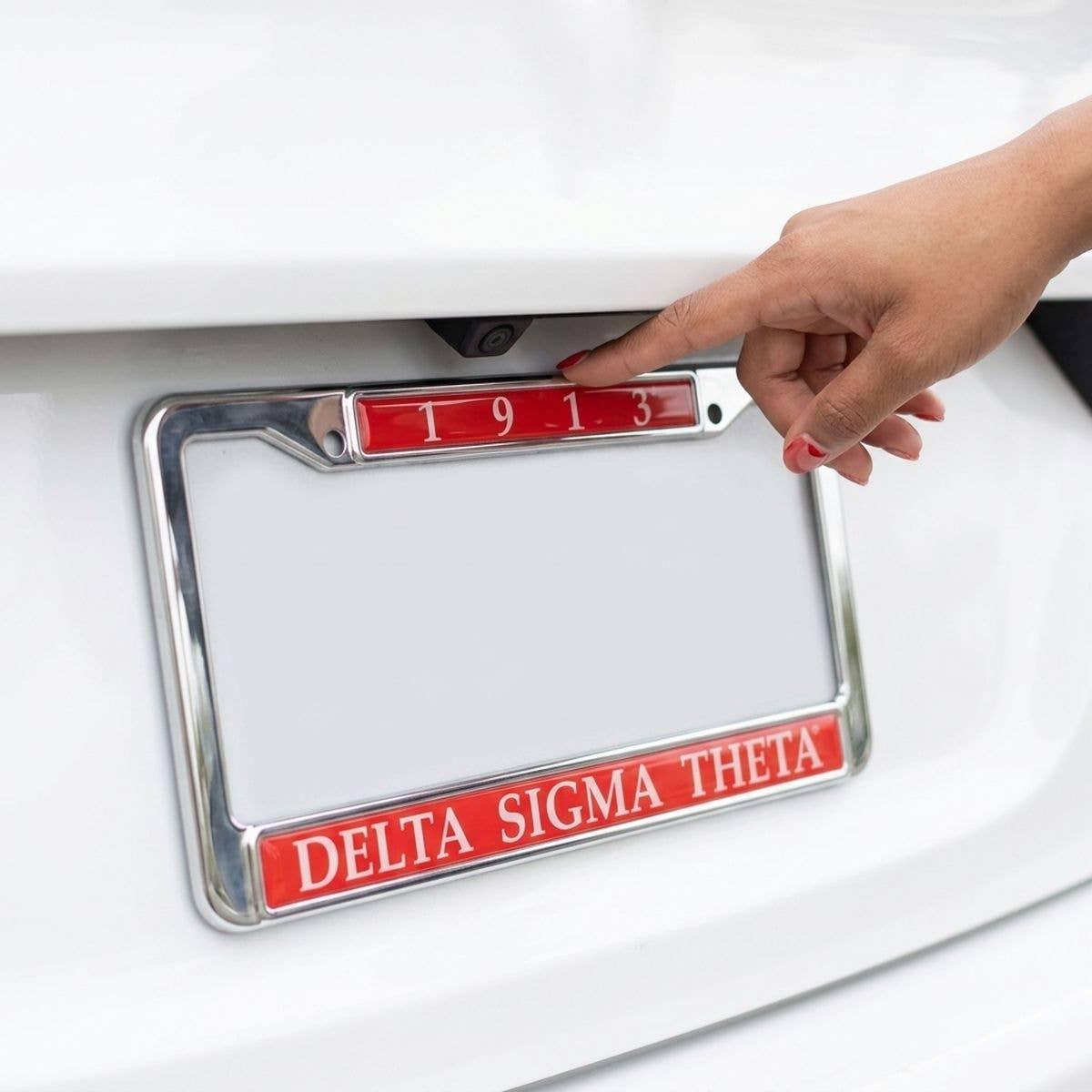 Delta Sigma Theta 1913 License Plate Frame: Animal Print / Rhodium / 6.25 x 12.25 inches
