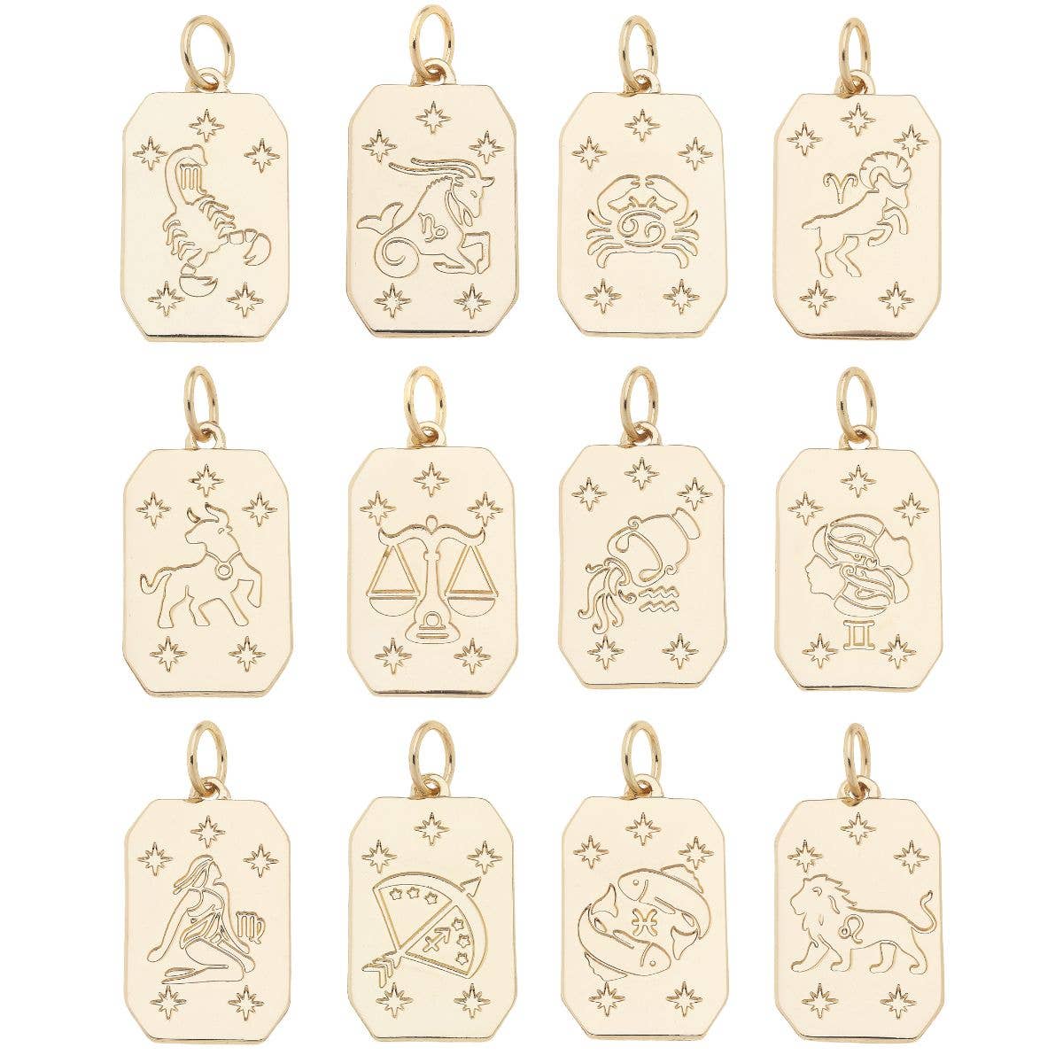 CANVAS STYLE CHARM BAR-Zodiac Charms Assortment
