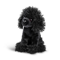 Poodle Small