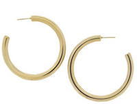Golden Trust 18 K Gold Plated Earrings