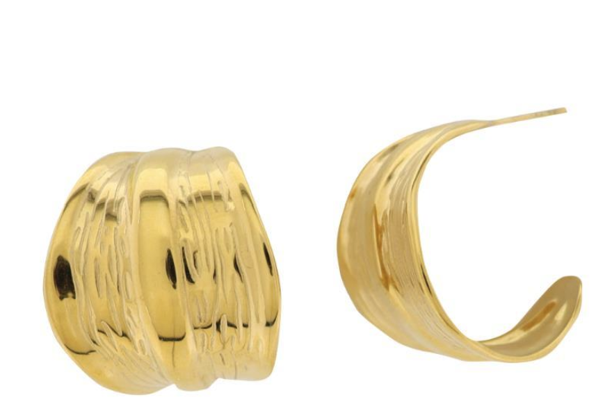 Golden Trust 18 K Gold Plated Earrings