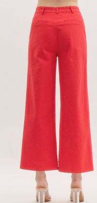 Hudson Pants