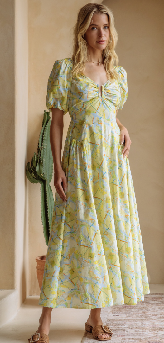 Lettie Printed Bubble Sleeve Maxi Dress or Top Dress / Medium