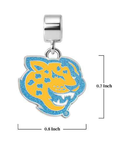CANVAS STYLE CHARM BAR-  HBCU CHARMS