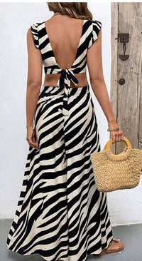 Aurora Zebra Wide Leg Pant Pattern Set