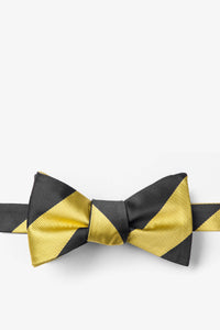 Black and Gold - College Collegiate Stripe - School Colors: Self-Tie Bowtie