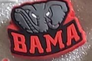 Licensed College Teams Shoe Charm