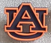 Licensed College Teams Shoe Charm