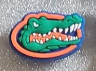 Licensed College Teams Shoe Charm