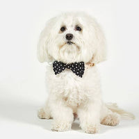 Pet Bow Ties - Black Buffalo Check