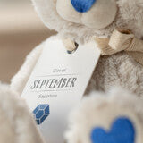 September Birthstone Bear