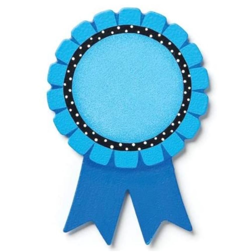 Embellish Your Story Blue Ribbon Magnet