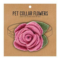 Pet Collar Flower-Orchid or Rasberry
