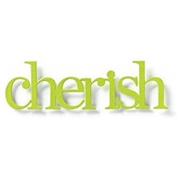 Embellish Your Story Cherish Magnet